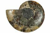 Cut & Polished Ammonite Fossil (Half) - Madagascar #308636-1